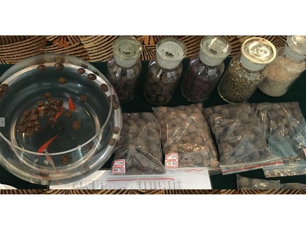 填埋？堆肥？焚燒？泥咋不去做陶粒呢